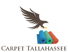 Carpet Cleaning Tallahassee